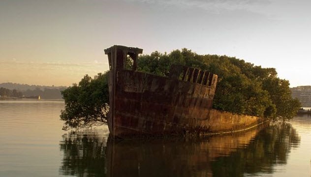 10 Abandoned Places Being Reclaimed By Nature